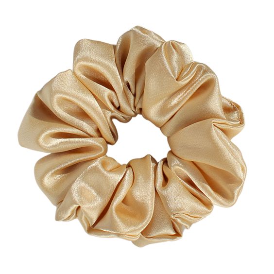 A Luxurious Medium Silk Scrunchie